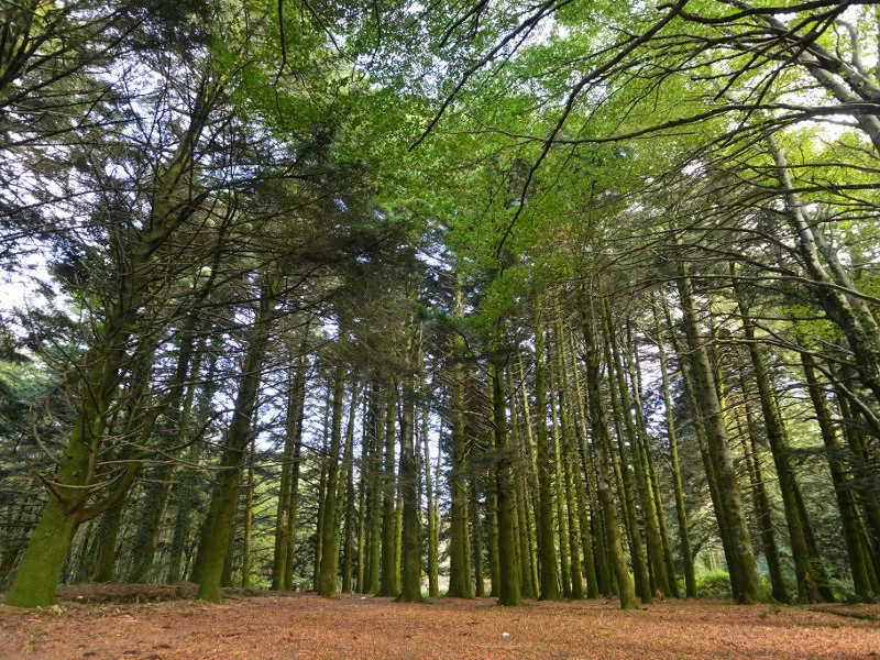Parco Nazionale dell'Aspromonte