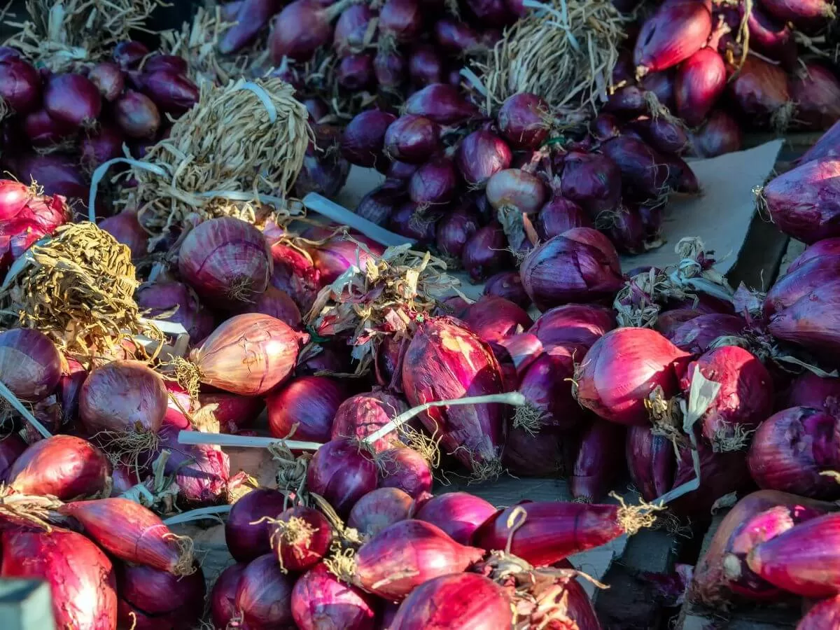 Cipolla Rossa di Tropea