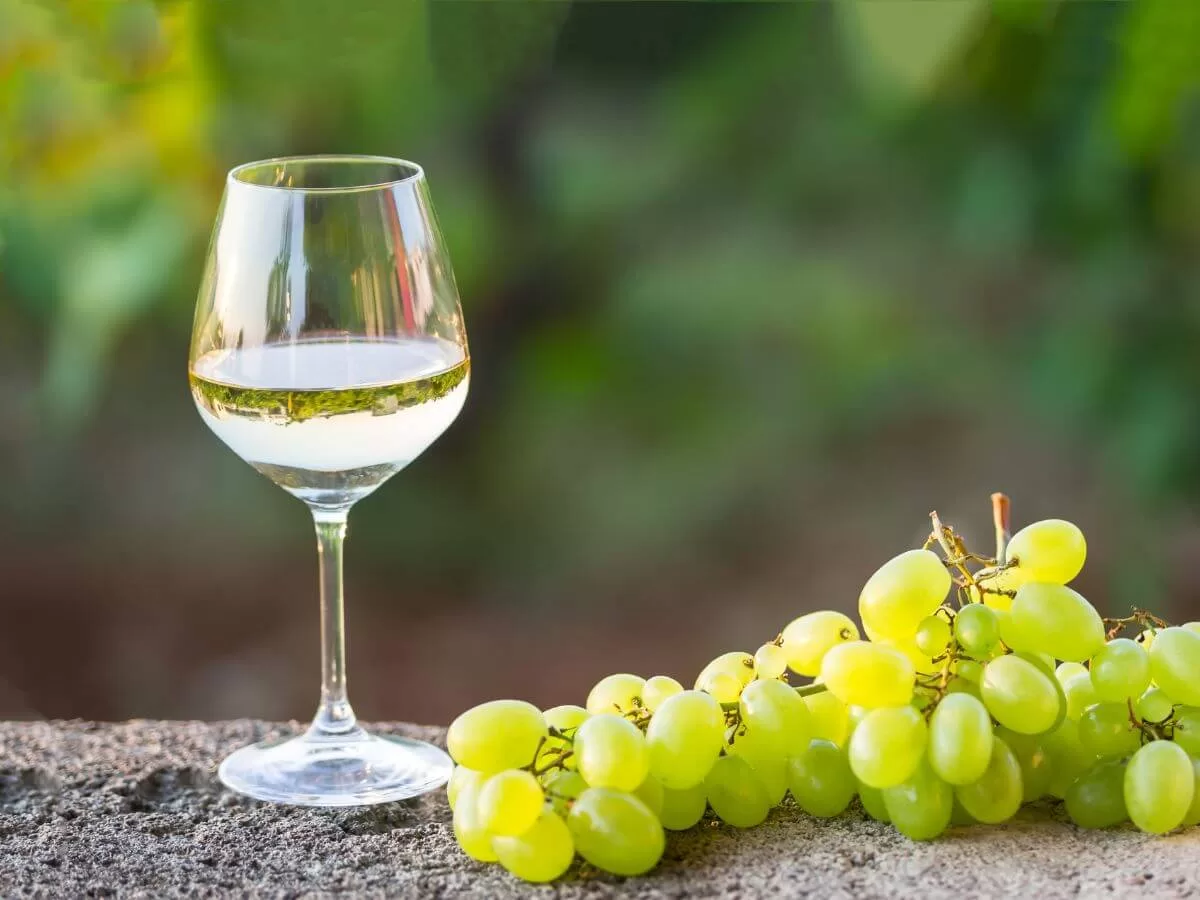 Vino Greco di Bianco